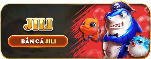 Bước 4: Bắt đầu chơi và tận hưởng